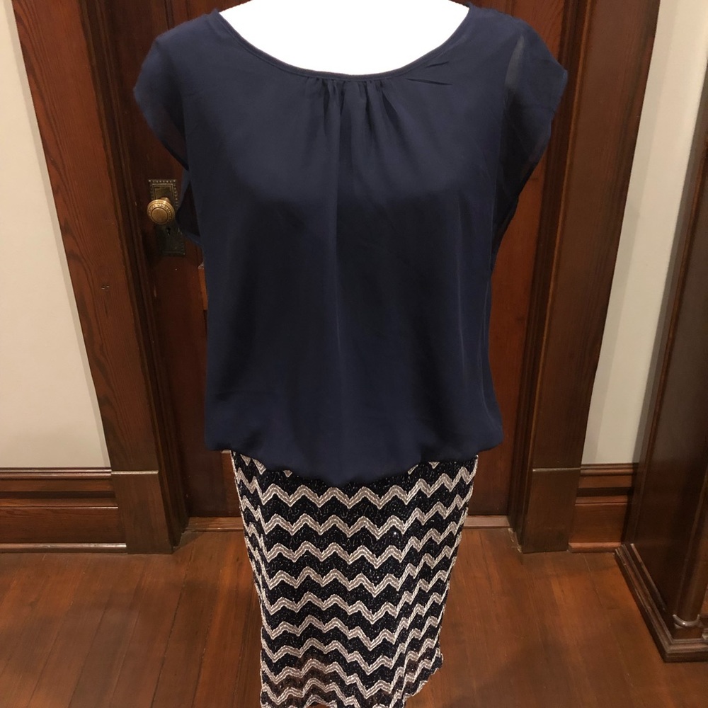 Classy Karin Stevens navy with silver dress